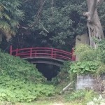 hotホットニュース　『探検』保土ヶ谷　西横浜　星川　天王町美容室scroll(スクロール)